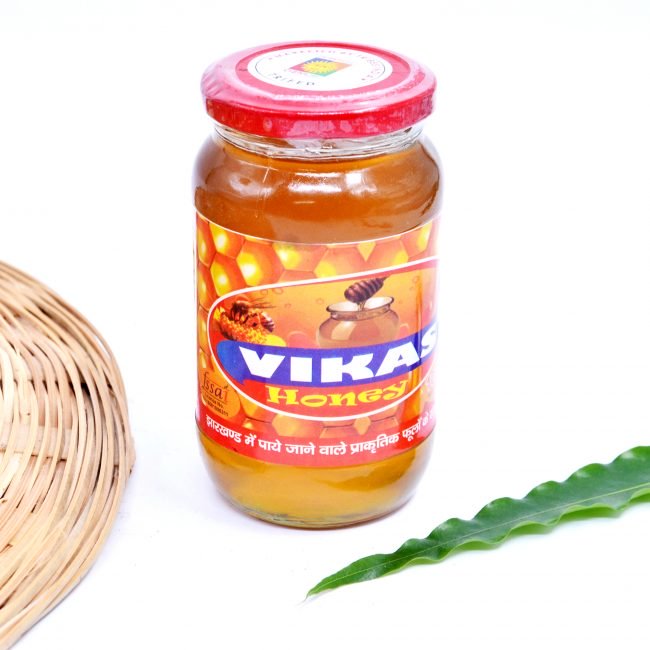 Vikas Organic Honey (500 Grams)