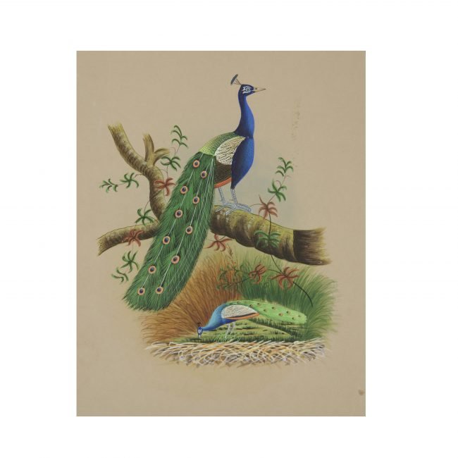 Tribes India Birds Painting