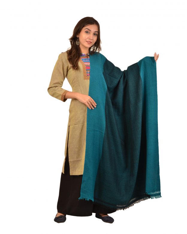 Womens Handwoven Woolen Multicolor Freesize Shawl