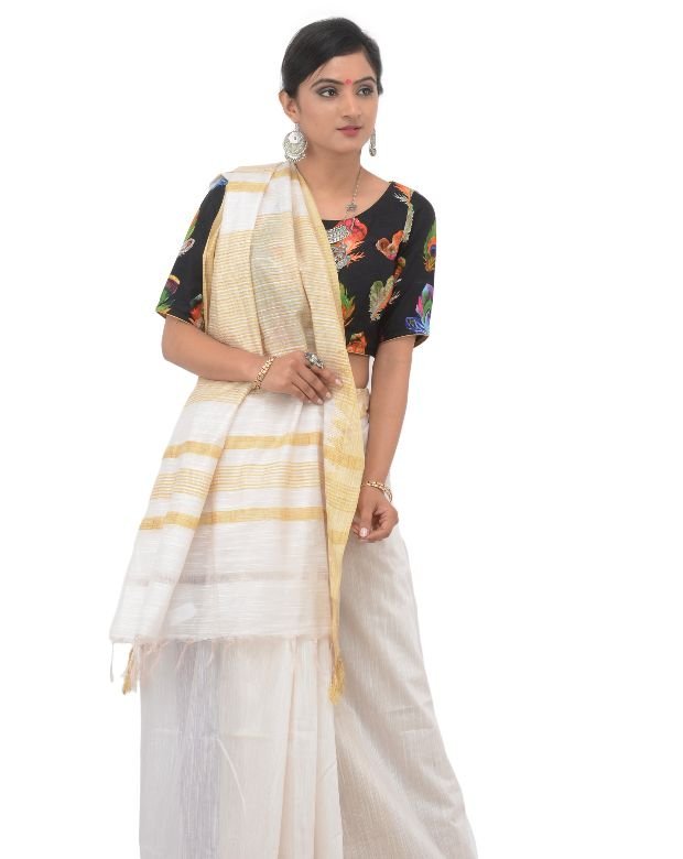 Saree Cotton Silk Mixed Vidharbha-MH