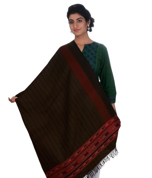 Handwoven Sheep Wool Chasm Dori Border Multicolour Shawl For Women