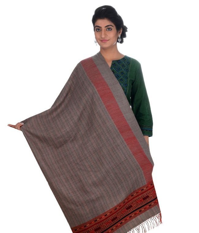 Handwoven Sheep Wool Chasm Dori Border Multicolour Stripes Shawl For Women