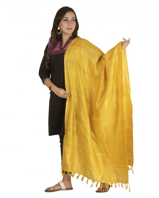 Handmade Tussar Silk Dyed Light Brown Dupatta