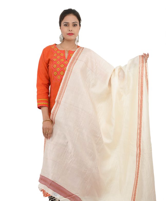 Tassar Vidarbha Dupatta