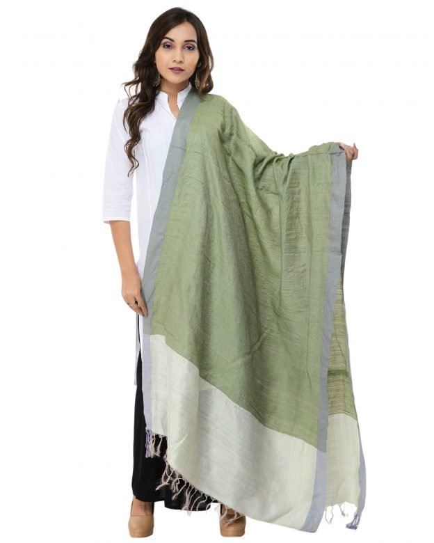 Light Green & Sky Blue Tassar Dupatta