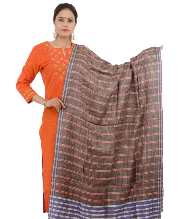 Dupatta Tassar Multi-color