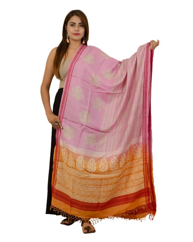 Handcrafted Tussar Silk Printed Multicolor Dupatta