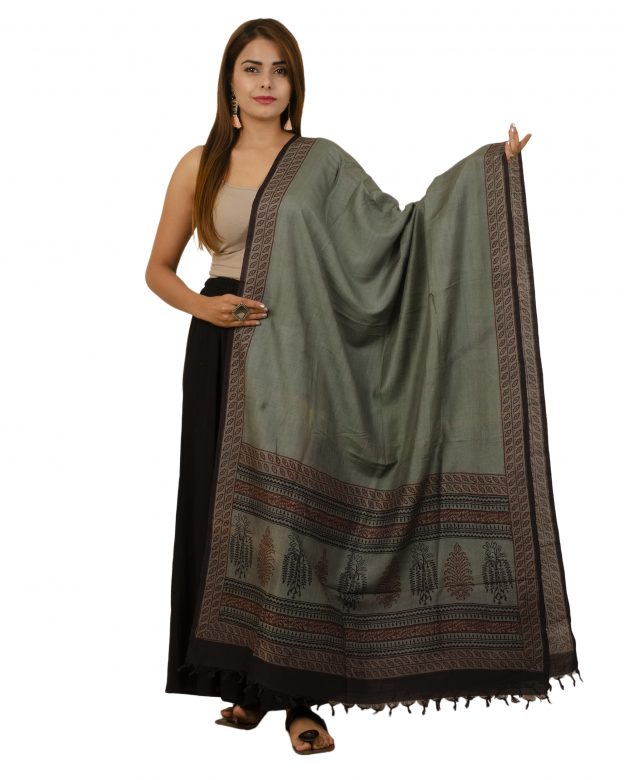 Handcrafted Tussar Silk Printed Multicolor Dupatta