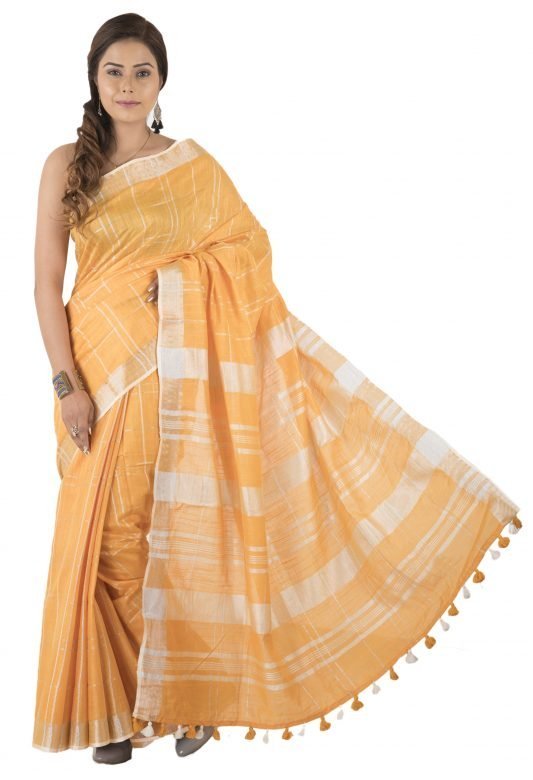 Women Handwoven Katan Vidharbha Saree