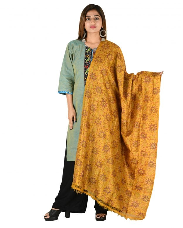 Womens Handwoven Tassar Silk Muticolour Freesize Dupatta
