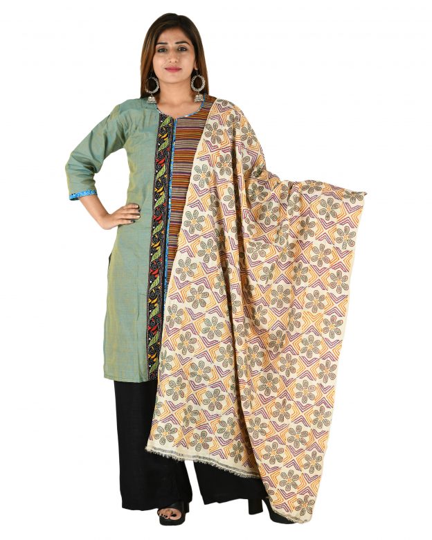 Womens Handwoven Tassar Silk Muticolour Freesize Dupatta