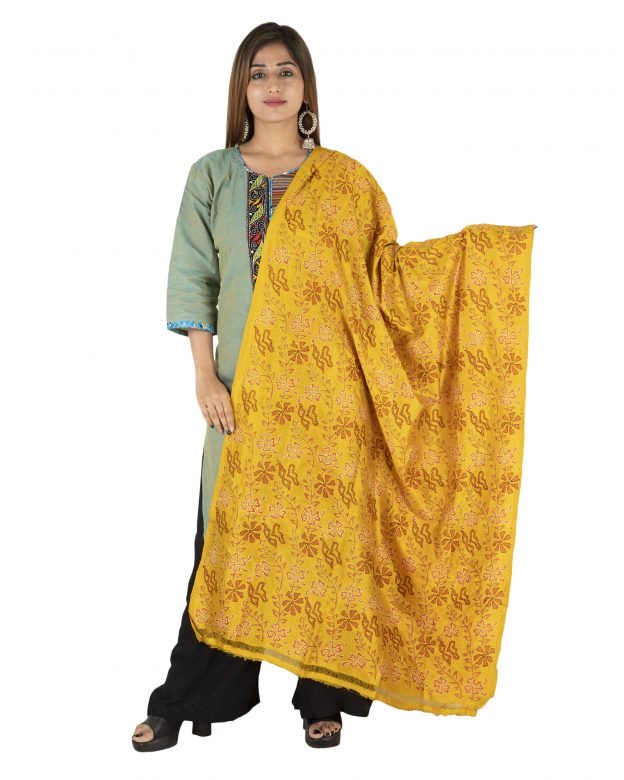 Womens Handwoven Tassar Silk Muticolour Freesize Dupatta