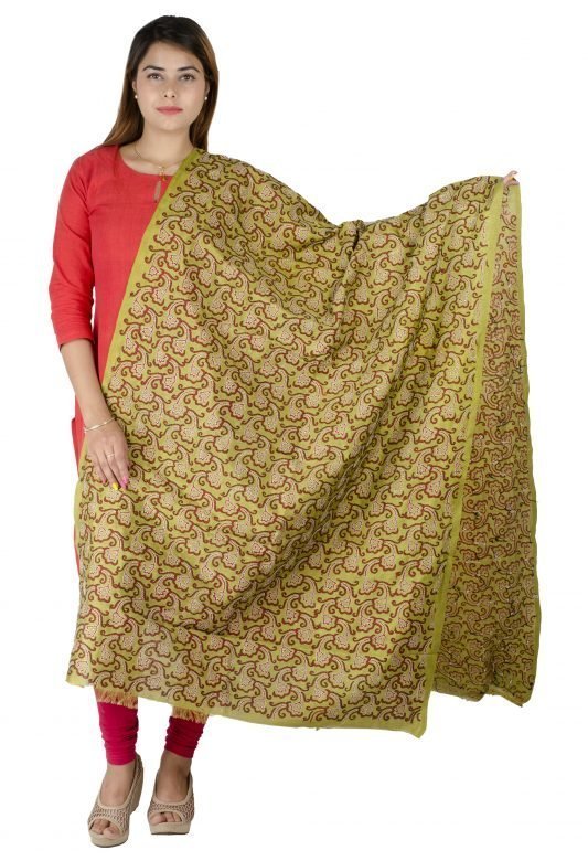 Stylish Block Printed Tassar Silk Dupatta for Women