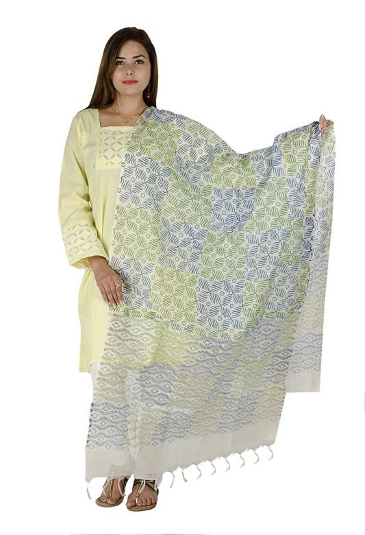 Chanderi Silk Printed Stole