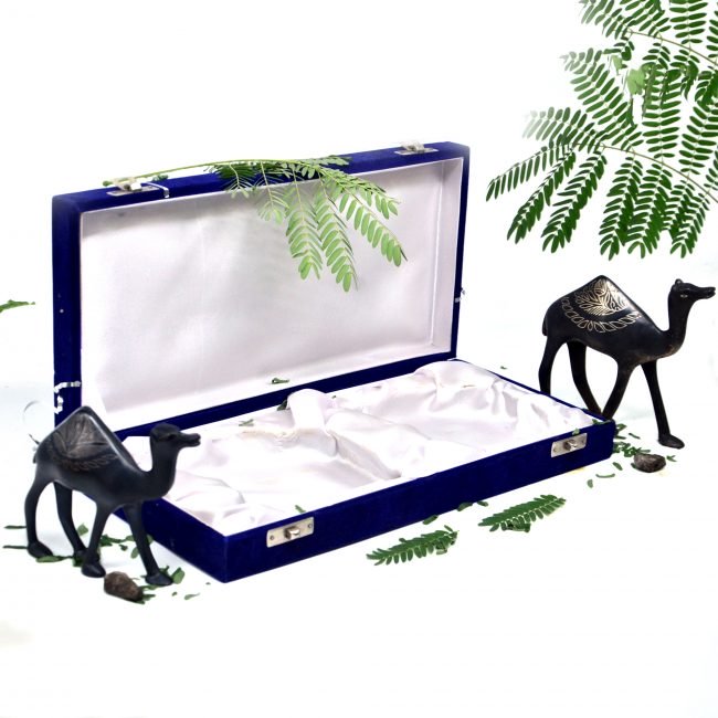 Bidri work Silver Tarkashi Camel Pair