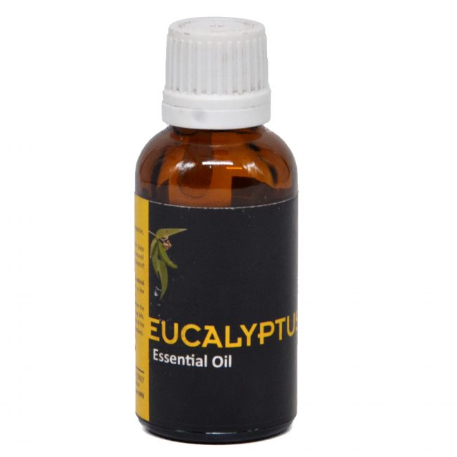 Eucalyptus Oil