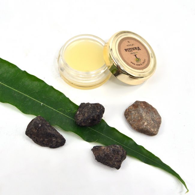 Vanilla Lip Balm