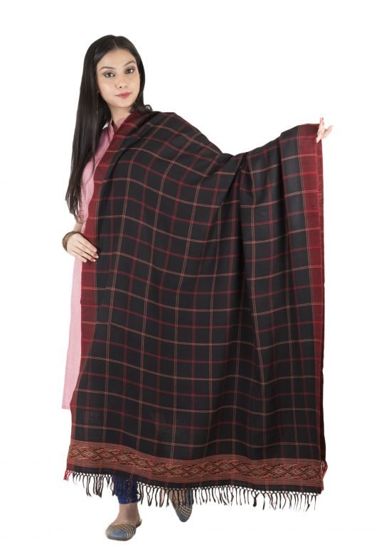 Womens Woolen Shawl