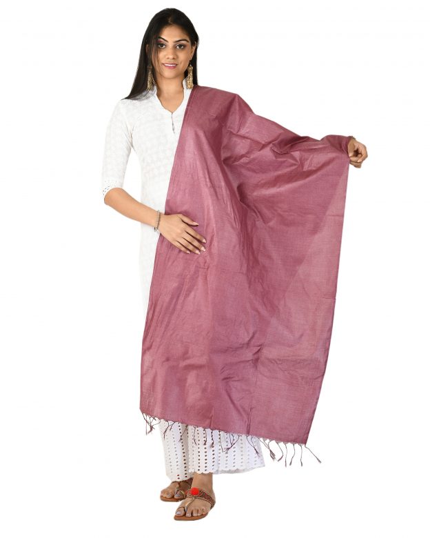 Womens Handwoven Tassar Silk Purple Freesize Stole