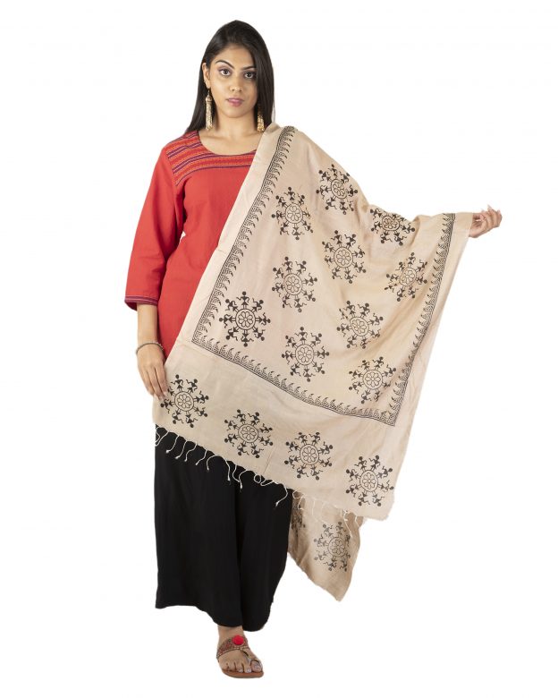 Womens Handwoven Cotton Multicolor Freesize Stole