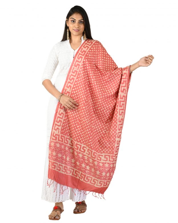 Womens Handwoven Tassar Silk Multicolor Freesize Stole