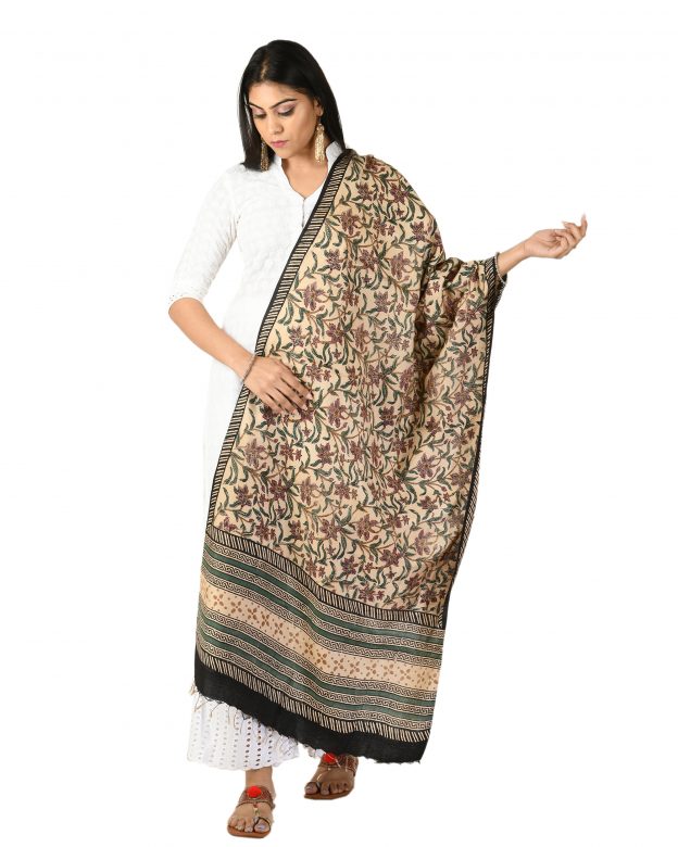 Womens Handwoven Tassar Silk Multicolor Freesize Stole