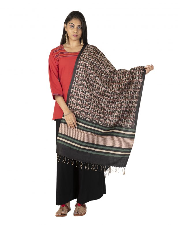 Womens Handwoven Cotton Multicolor Freesize Stole