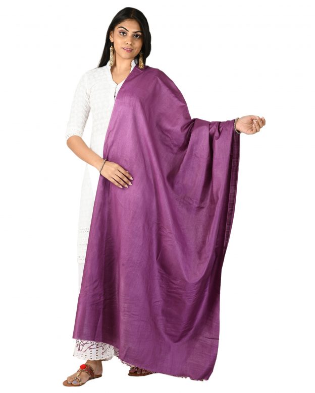 Womens Handwoven Tassar Silk Purple Freesize Dupatta