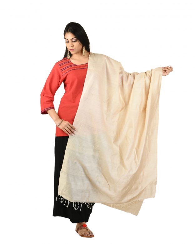 Womens Handwoven Tassar Silk Cream Freesize Dupatta