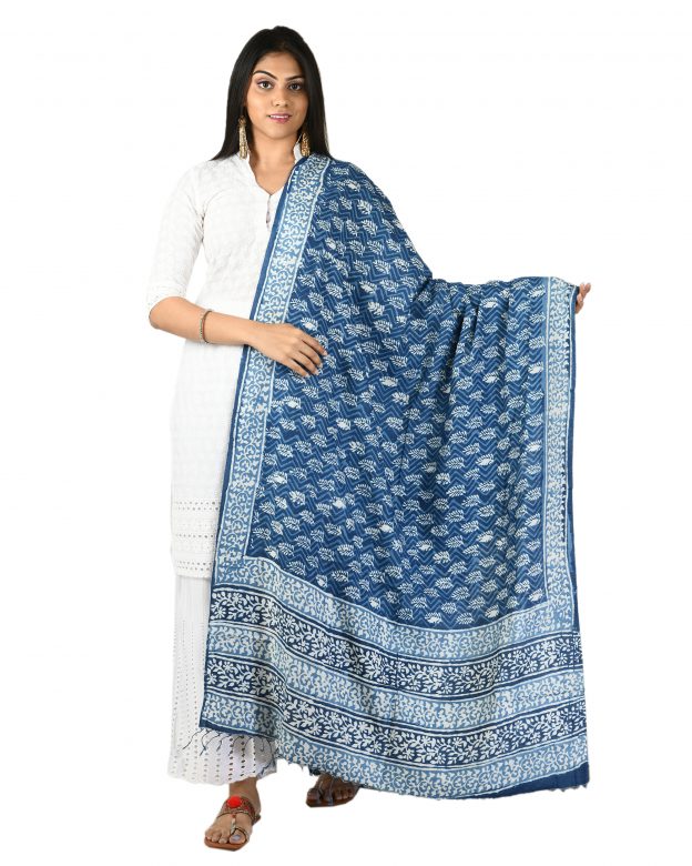 Womens Handwoven Tassar Silk Multicolor Freesize Dupatta