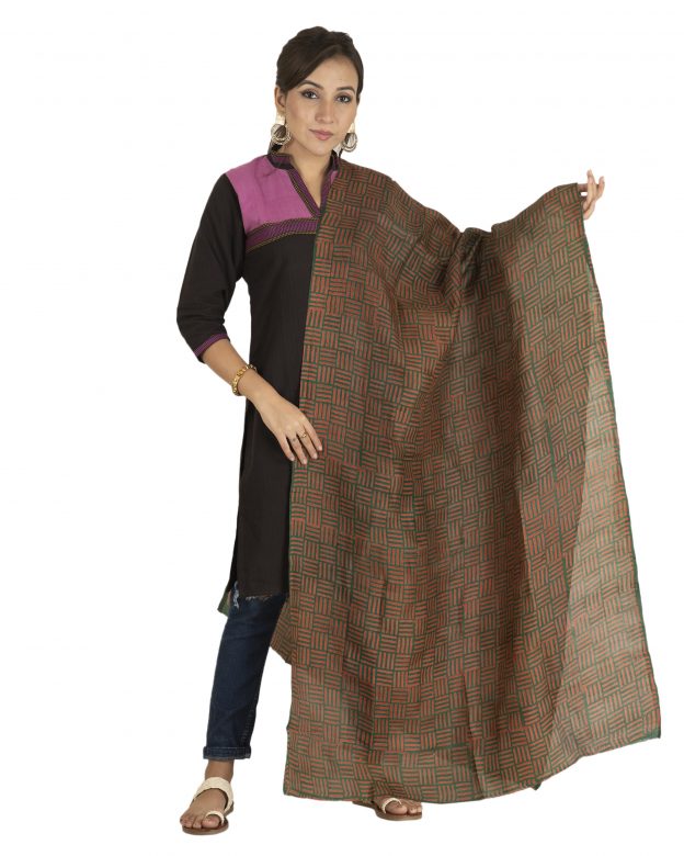 Tussar Silk Multicolor Stole