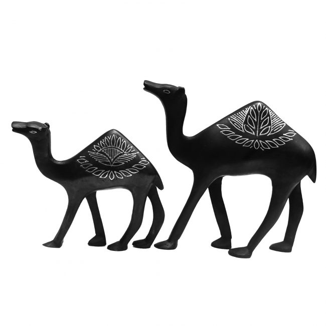 Camel Pair