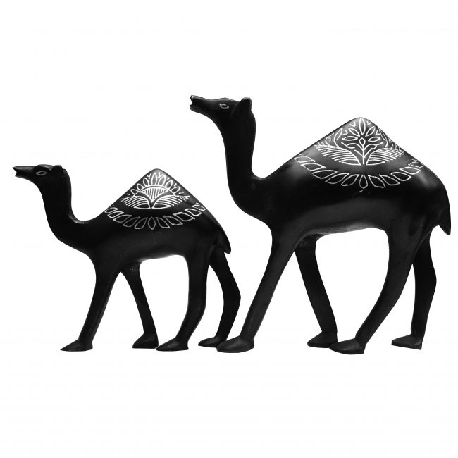 Big And Small Camel Pair