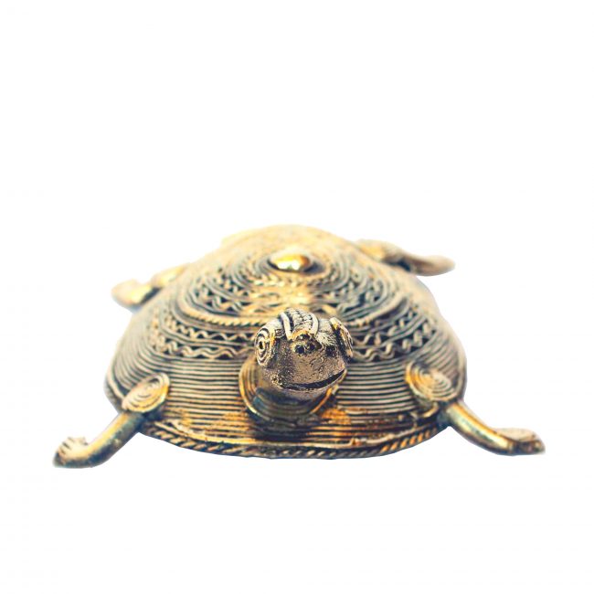 Plate Tortoise