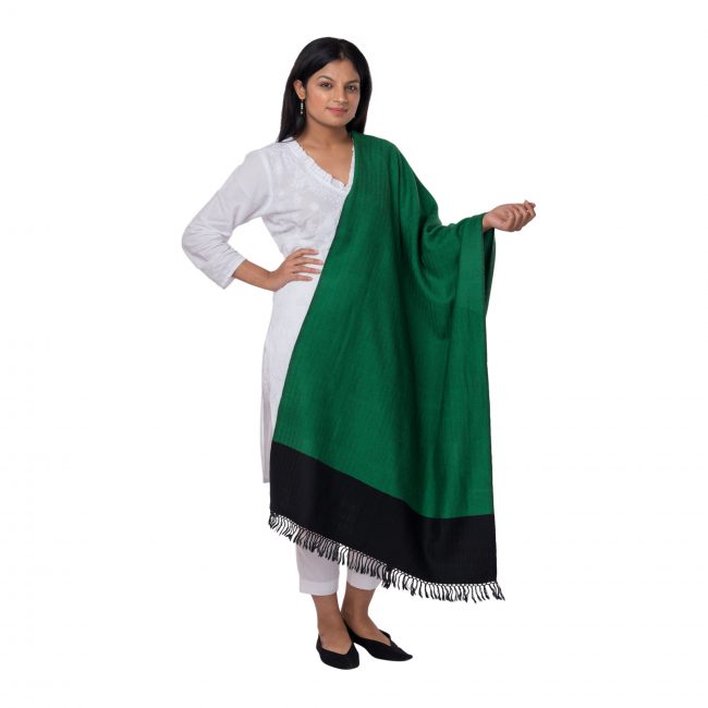 Kinnouri Wool Green Stole