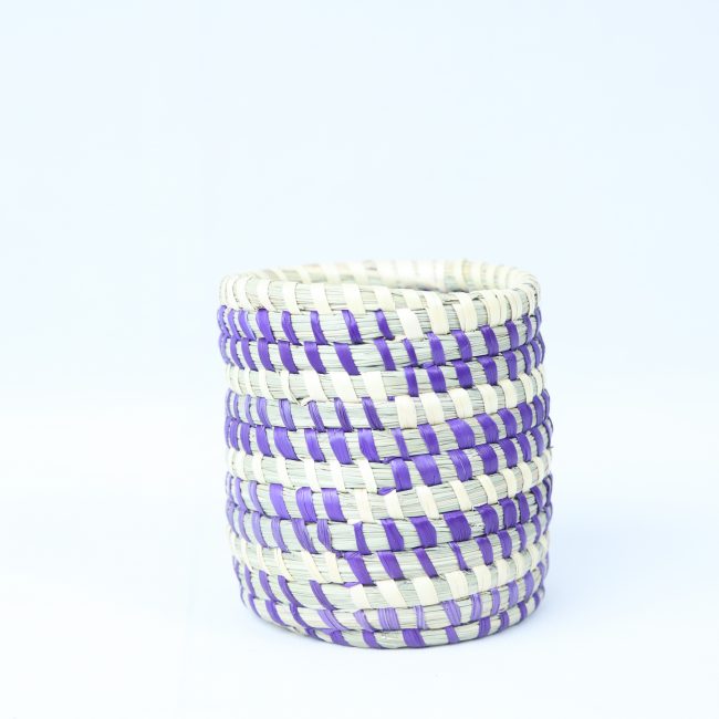 Pen Stand Multicolor