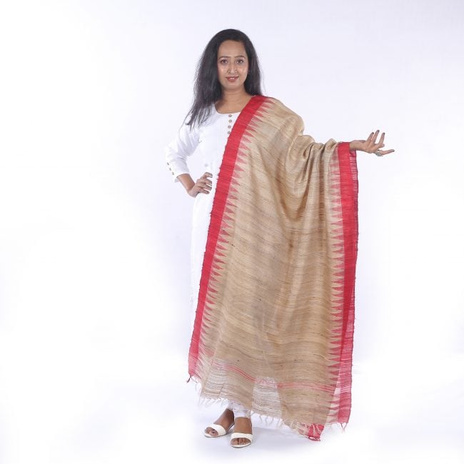 Silk Multicolor Dupatta