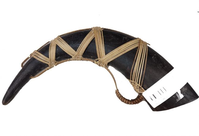 Handmade Replica Of Mithun Horn