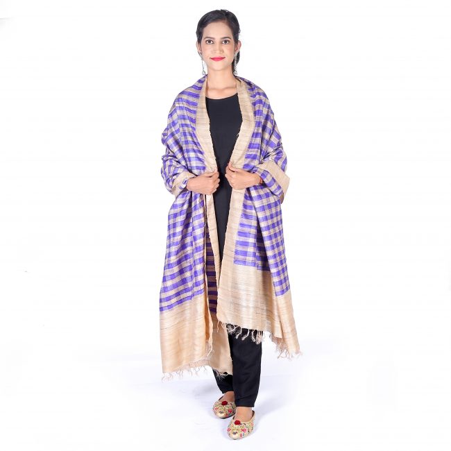 Handwoven Multicolor Silk Dupatta