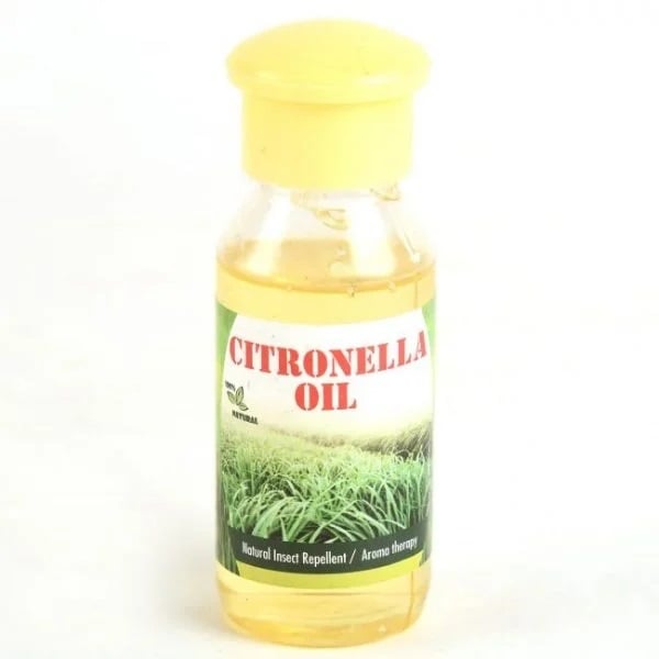 Pure Citronella Oil – Natural Mosquito Repellent & Aromatherapy (50 ml) | Tribes India