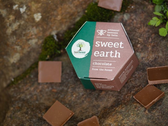 Chocolate Beeswax Lip Balm