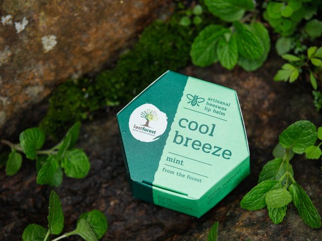 Mint Beeswax Lip Balm