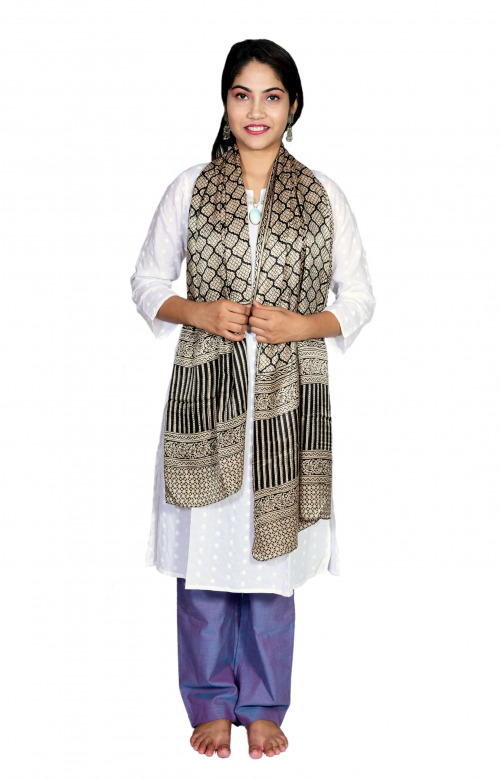 Tribes India Gajji Silk Bagh Print Stole