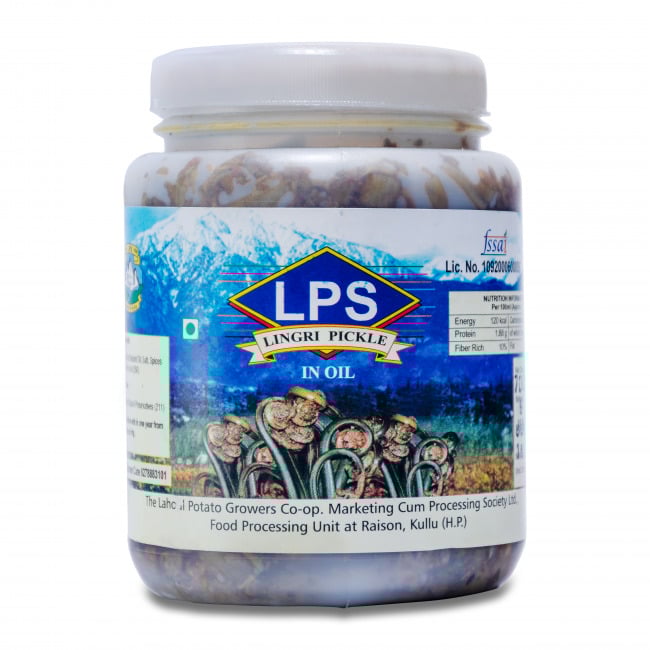 Lps Lingri Pickle (500 Grams)