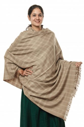 Handwoven Pure Pashmina Multicolor Shawl Leh