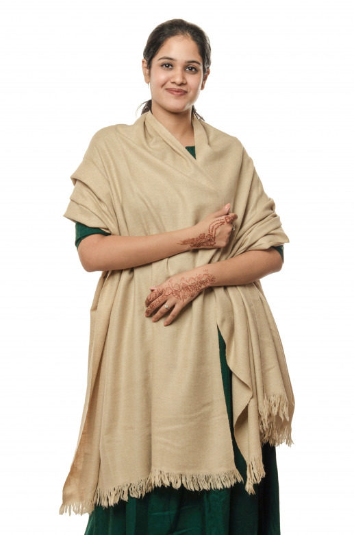Handwoven Pure Pashmina Cream Shawl Leh