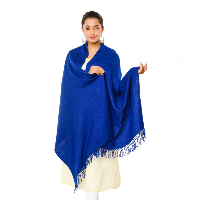 Handwoven Pashmina Blue Stole