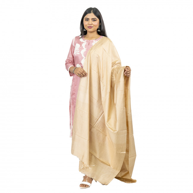 Handwoven Tassar Cotton Cream Color Dupatta