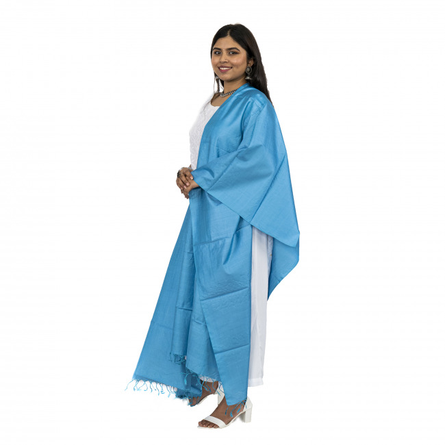 Handwoven Tassar Cotton Plain Blue Color Dupatta
