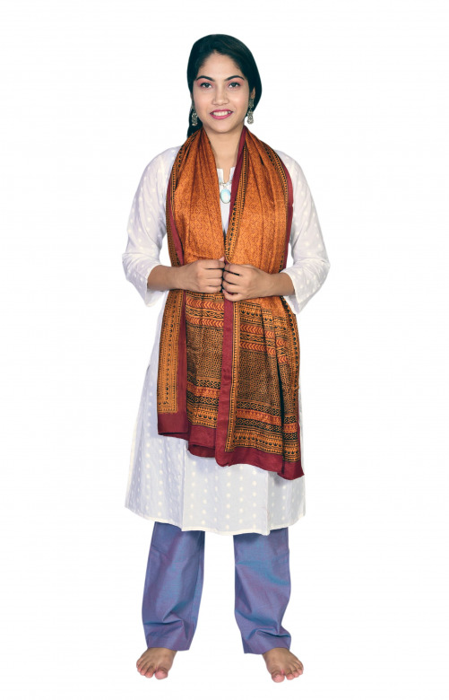 Tribes India Gajji Silk Bagh Print Stole